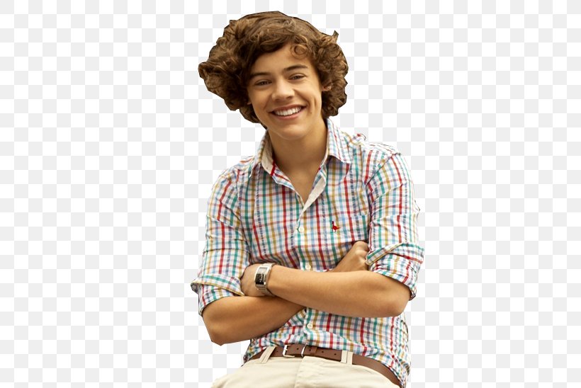 The X Factor One Direction Up All Night Image Harry Styles, PNG, 500x548px, X Factor, Arm, Finger, Harry Styles, Human Behavior Download Free