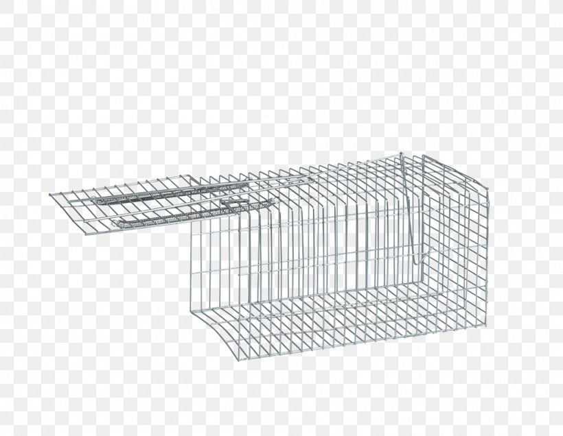 Cage Mesh Angle, PNG, 1000x776px, 4k Resolution, Cage, Basket, Mesh, Minute Download Free