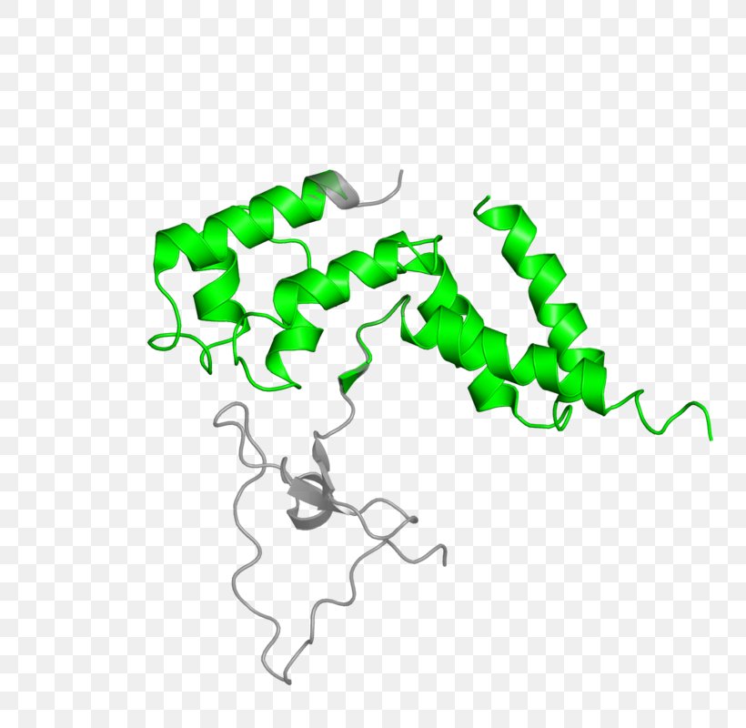 Green Logo Clip Art, PNG, 800x800px, Green, Area, Diagram, Logo, Organism Download Free