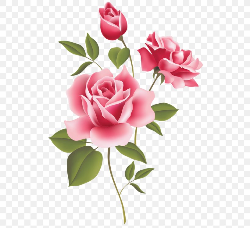 Rose Free Pink Clip Art, PNG, 800x748px, Rose, Artificial Flower, Blog, Cut Flowers, English Rose Download Free