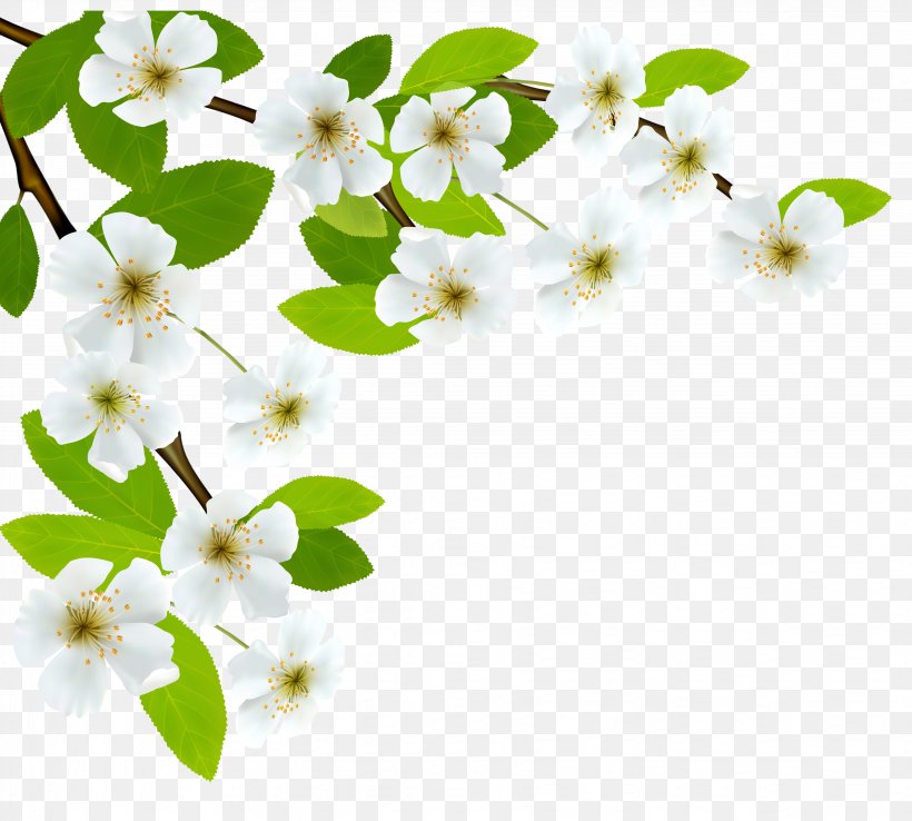 Branch Diagram Clip Art, PNG, 4088x3680px, Flower, Blossom, Branch, Flora, Floral Design Download Free