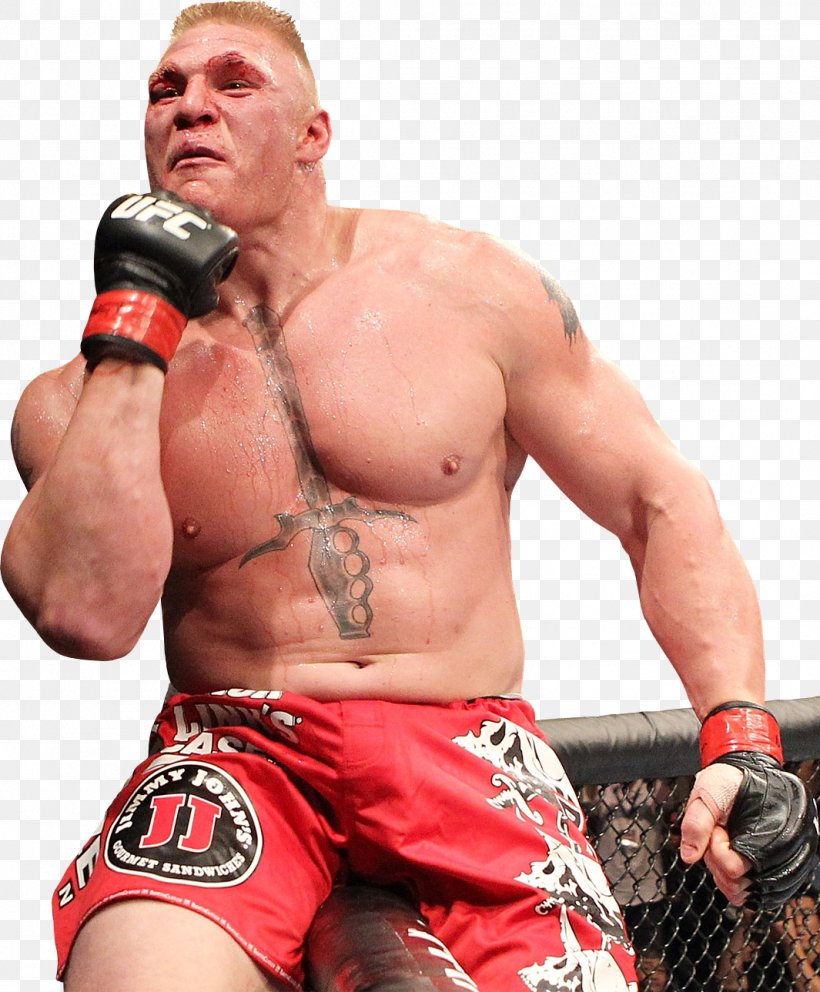 Brock Lesnar UFC 200: Tate Vs. Nunes Mixed Martial Arts Heavyweight Boxing, PNG, 1065x1289px, Watercolor, Cartoon, Flower, Frame, Heart Download Free