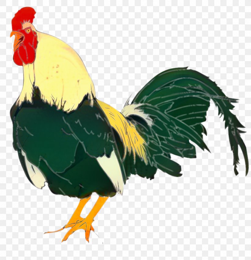 Chicken Clip Art Rooster Vector Graphics, PNG, 986x1024px, Chicken, Art, Beak, Bird, Cockfight Download Free
