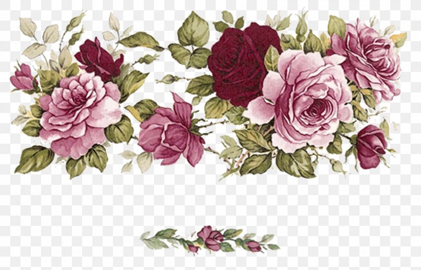 Cut Flowers Floral Design Paper Garden Roses, PNG, 1600x1028px, Flower, Centifolia Roses, Cut Flowers, Decoupage, Flora Download Free