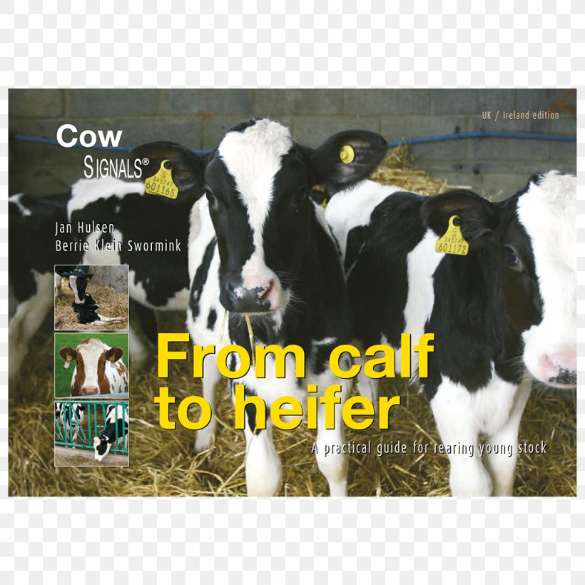 Dairy Cattle Calf E-book, PNG, 1024x1024px, Dairy Cattle, Advertising, Agriculture, Book, Calf Download Free