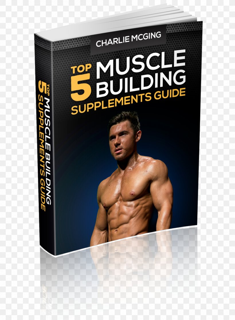 Muscle Brand Product, PNG, 900x1227px, Muscle, Abdomen, Bodybuilding, Brand Download Free