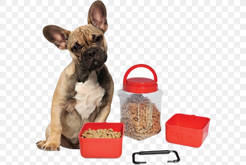 Pet Sitting Dog Cat Pet Shop, PNG, 584x551px, Pet Sitting, Bulldog, Carnivoran, Cat, Companion Dog Download Free