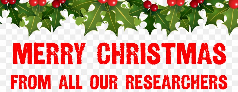 Christmas Santa Claus Clip Art, PNG, 2319x906px, Christmas, Advertising, Christmas Card, Christmas Lights, Floristry Download Free