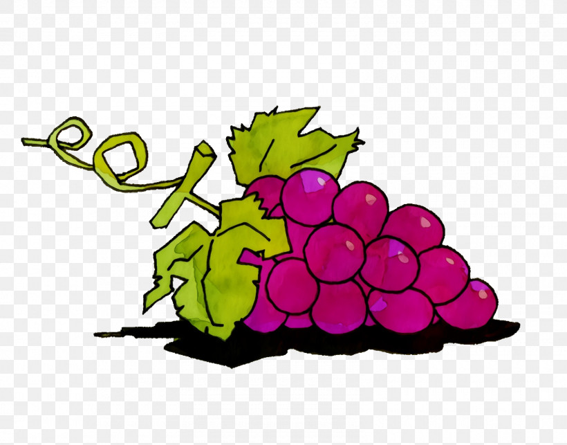 Grape Leaf M-tree Purple Meter, PNG, 1600x1256px, Cartoon Fruit, Biology, Grape, Kawaii Fruit, Leaf Download Free