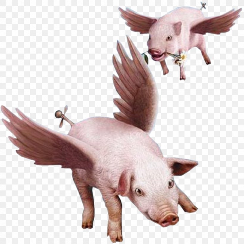 When Pigs Fly Clip Art, PNG, 1200x1200px, Pig, Alice S Adventures In Wonderland, Animal Figure, Art, Domestic Pig Download Free