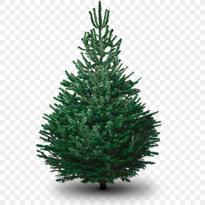 Artificial Christmas Tree Christmas Decoration, PNG, 1000x1000px, Artificial Christmas Tree, Branch, Christmas, Christmas Card, Christmas Decoration Download Free