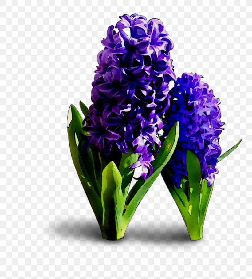 Floral Design Cut Flowers Hyacinth, PNG, 1125x1245px, Floral Design, Cut Flowers, Delphinium, Flower, Flowering Plant Download Free