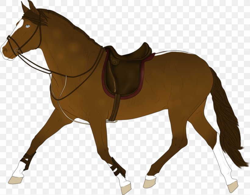 Mule Pony English Riding Bridle Stallion, PNG, 1024x801px, Mule, Bridle, Connemara Pony, English Riding, Equestrian Download Free