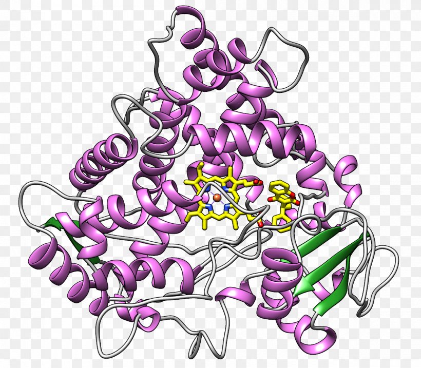 Cytochrome P450 CYP2C9 Active Site Enzyme Substrate, PNG, 1200x1050px, Cytochrome P450, Active Site, Art, Artwork, Catalysis Download Free
