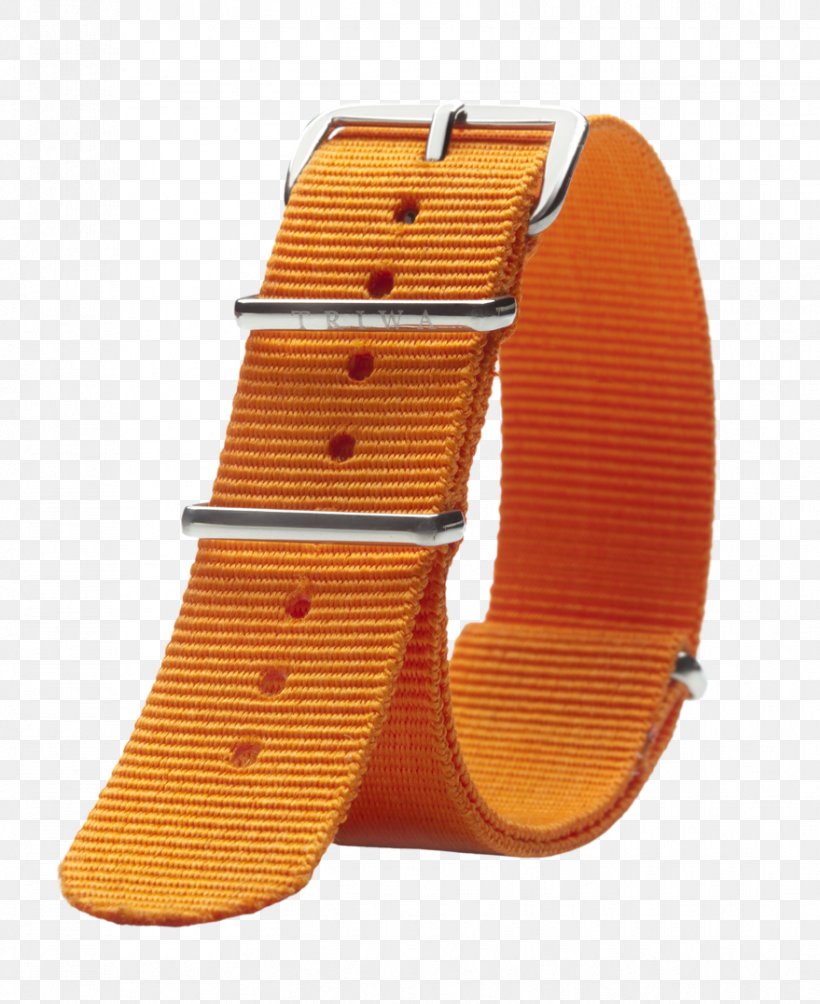 Strap Buckle Triwa AB (Office) The Daily Material, PNG, 879x1077px, Strap, Buckle, Canvas, Daily, Discounts And Allowances Download Free