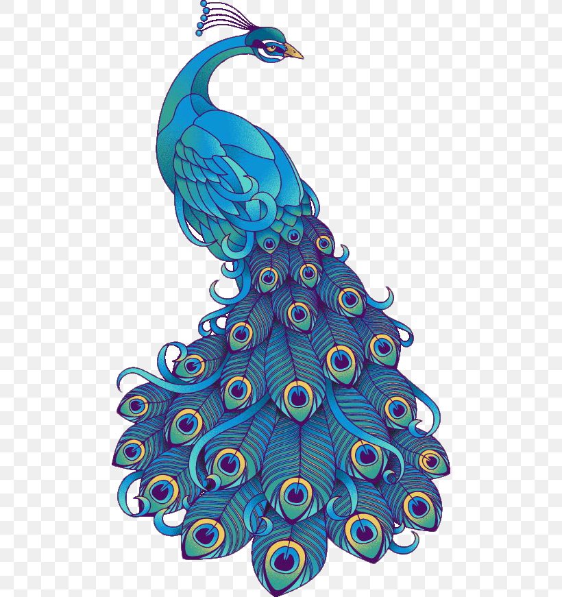 Visual Arts Bird Peafowl Drawing Clip Art, PNG, 494x871px, Visual Arts, Art, Asiatic Peafowl, Bird, Costume Design Download Free