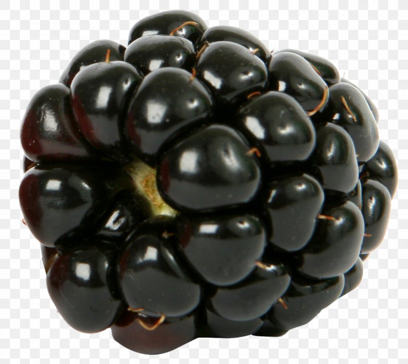 Blueberry Blackberry Raspberry Fruit, PNG, 1285x1146px, Blackberry, Aggregate Fruit, Bead, Berry, Black Raspberry Download Free
