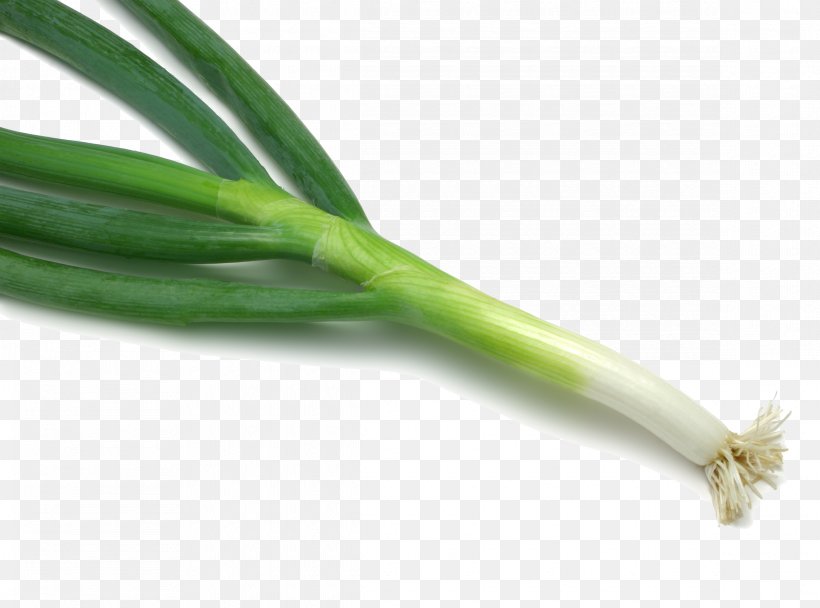Chinese Cuisine Shallot Vegetable Fruit Scallion, PNG, 2330x1728px, Chinese Cuisine, Allium Fistulosum, Bell Pepper, Chili Pepper, Cucumber Download Free