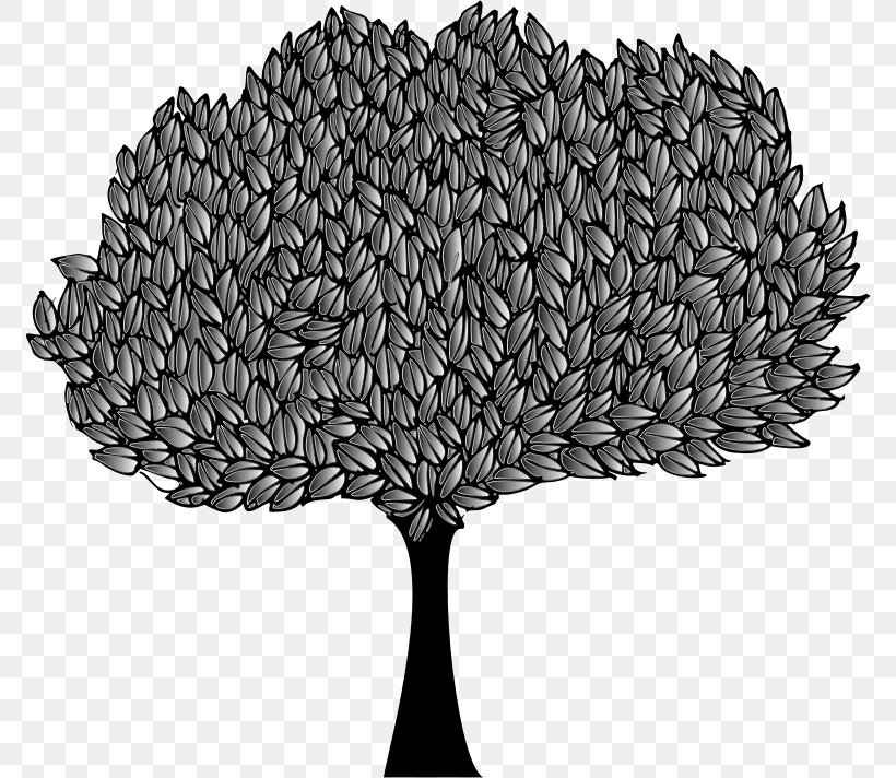The Great Banyan Clip Art Vector Graphics Image, PNG, 774x712px, Banyan, Drawing, Fig Trees, Leaf, Plane Download Free