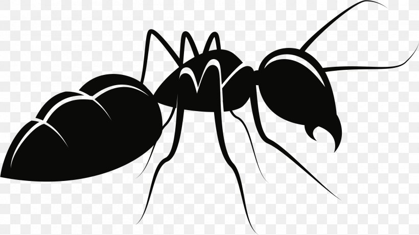 Ant Mosquito Insect Clip Art, PNG, 2389x1344px, Ant, Arthropod, Black And White, Black Garden Ant, Can Stock Photo Download Free