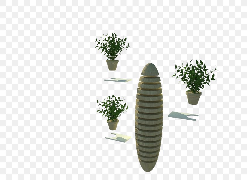 Tree Houseplant, PNG, 800x600px, Tree, Flowerpot, Grass, Houseplant, Plant Download Free