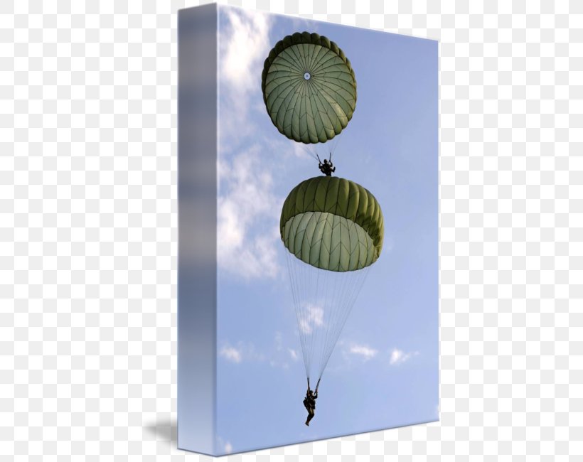 United States Army Airborne School Parachuting Paratrooper Parachute Military, PNG, 427x650px, 75th Ranger Regiment, United States Army Airborne School, Air Sports, Airborne Forces, Army Download Free