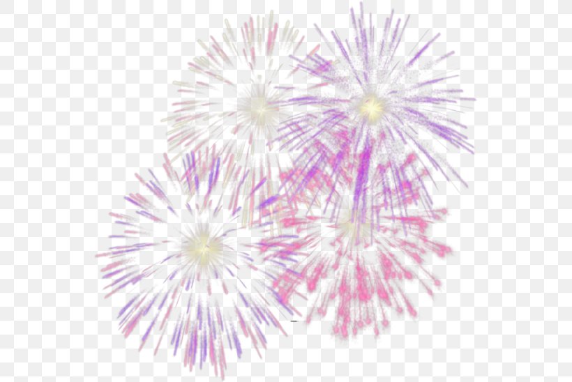 Adobe Fireworks Pyrotechnics Clip Art, PNG, 550x548px, Adobe Fireworks, Channel, Fireworks, Flower, Flowering Plant Download Free