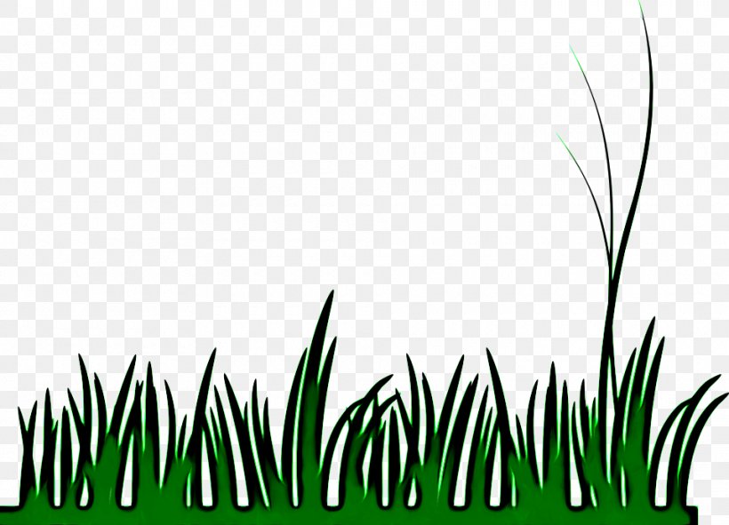 Grass Green Vegetation Plant Leaf, PNG, 960x693px, Grass, Grass Family, Green, Leaf, Plant Download Free