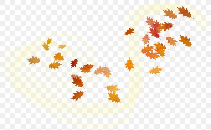 Maple Leaf Adobe Photoshop Autumn, PNG, 898x554px, Leaf, Abscission, Autumn, Internet, Maple Leaf Download Free