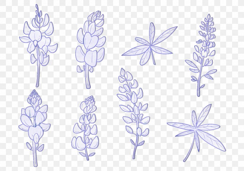Petal Symmetry Pattern Product Flowering Plant, PNG, 1399x980px, Petal, Flower, Flowering Plant, Lavender, Lilac Download Free