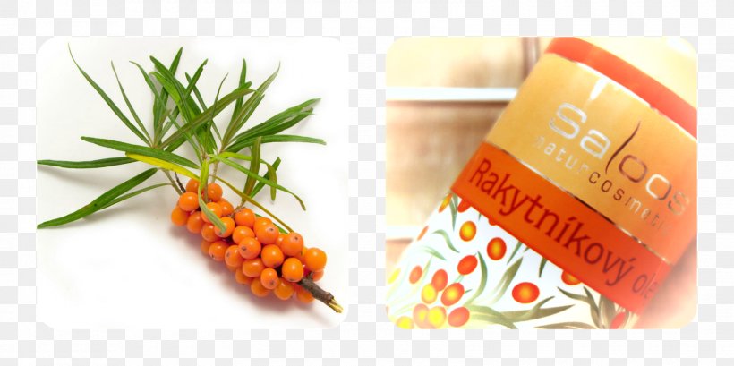Seaberry Sea Buckthorn Oil Photography Alder Buckthorn, PNG, 1600x800px, Seaberry, Alder Buckthorn, Berry, Buckthorn, Can Stock Photo Download Free