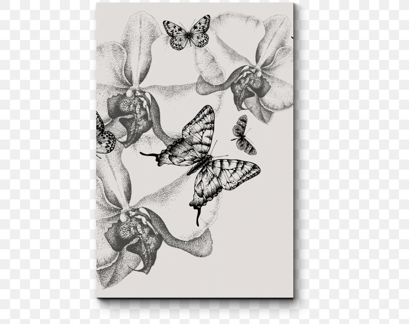 Butterfly Drawing Orchids Ophrys Insectifera, PNG, 650x650px, Butterfly, Art, Black And White, Butterfly Gardening, Common Milkweed Download Free