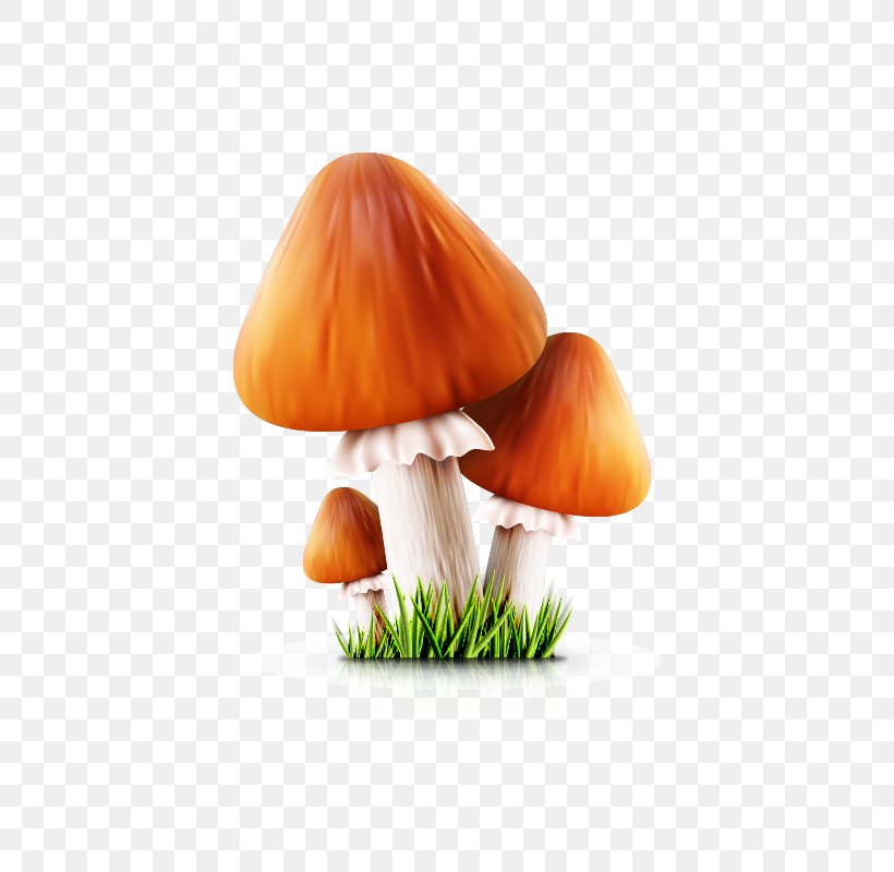 Cartoon Poster Mushroom, PNG, 800x800px, Cartoon, Art, Comics, Food, Fungus Download Free