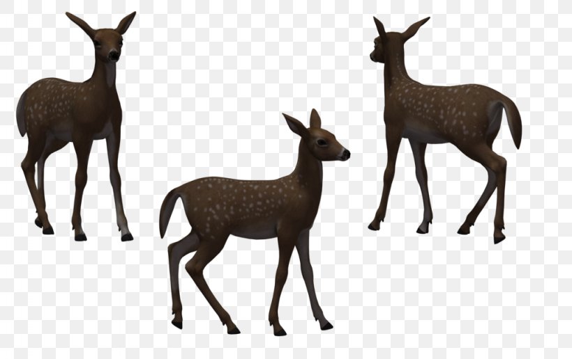Deer Elk Wildlife Illustration, PNG, 1024x645px, 3d Computer Graphics, Deer, Antelope, Elk, Fauna Download Free