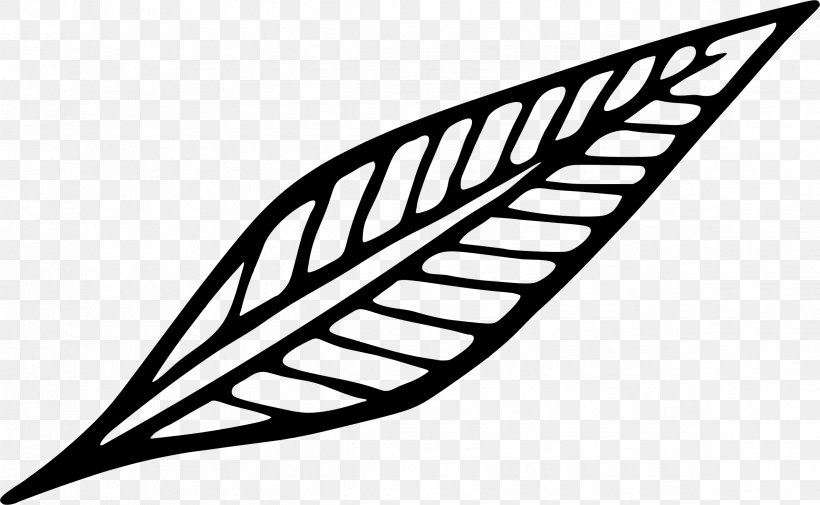 Leaf Angle Clip Art, PNG, 2375x1465px, Leaf, Area, Black And White, Leafly, Line Art Download Free