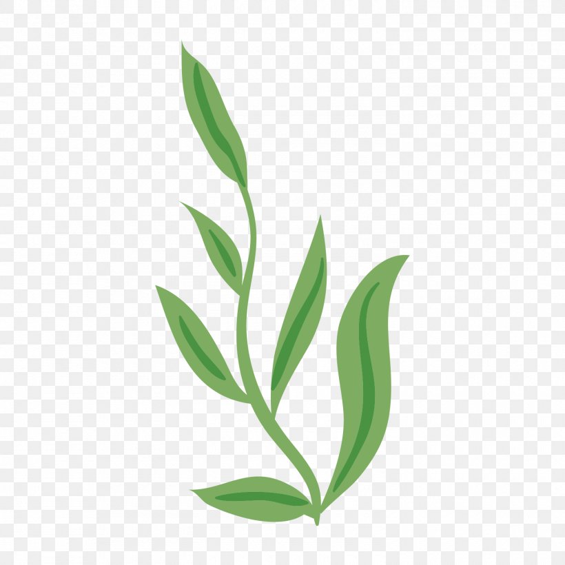 Image Adobe Photoshop Leaf Green, PNG, 1500x1500px, Leaf, Branch, Cartoon, Color, Commodity Download Free