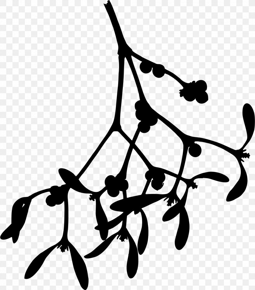 Mistletoe Drawing Phoradendron Tomentosum Clip Art, PNG, 2106x2400px, Mistletoe, Black And White, Branch, Drawing, Flower Download Free