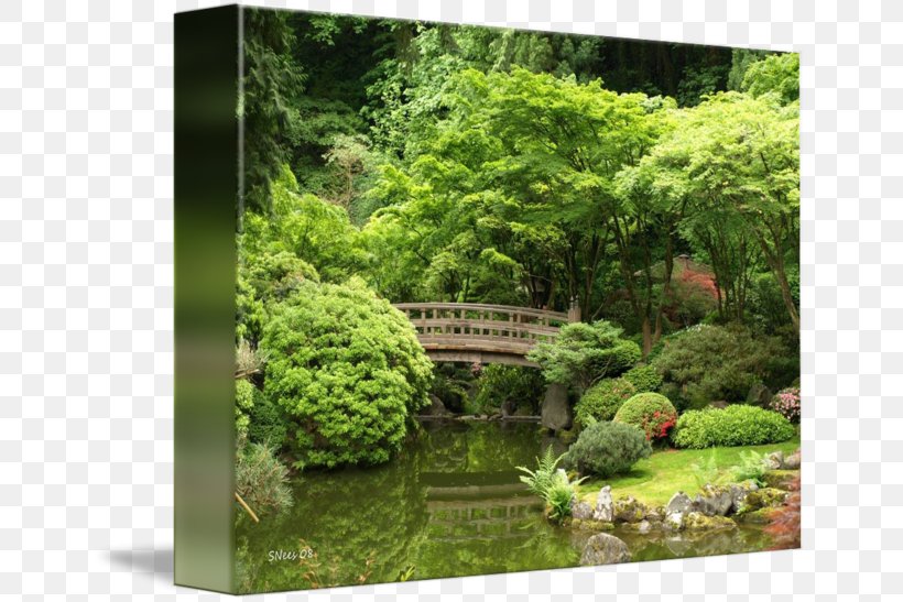 Portland Japanese Garden Fine Art, PNG, 650x547px, Portland Japanese Garden, Aquatic Plant, Art, Artist, Backyard Download Free