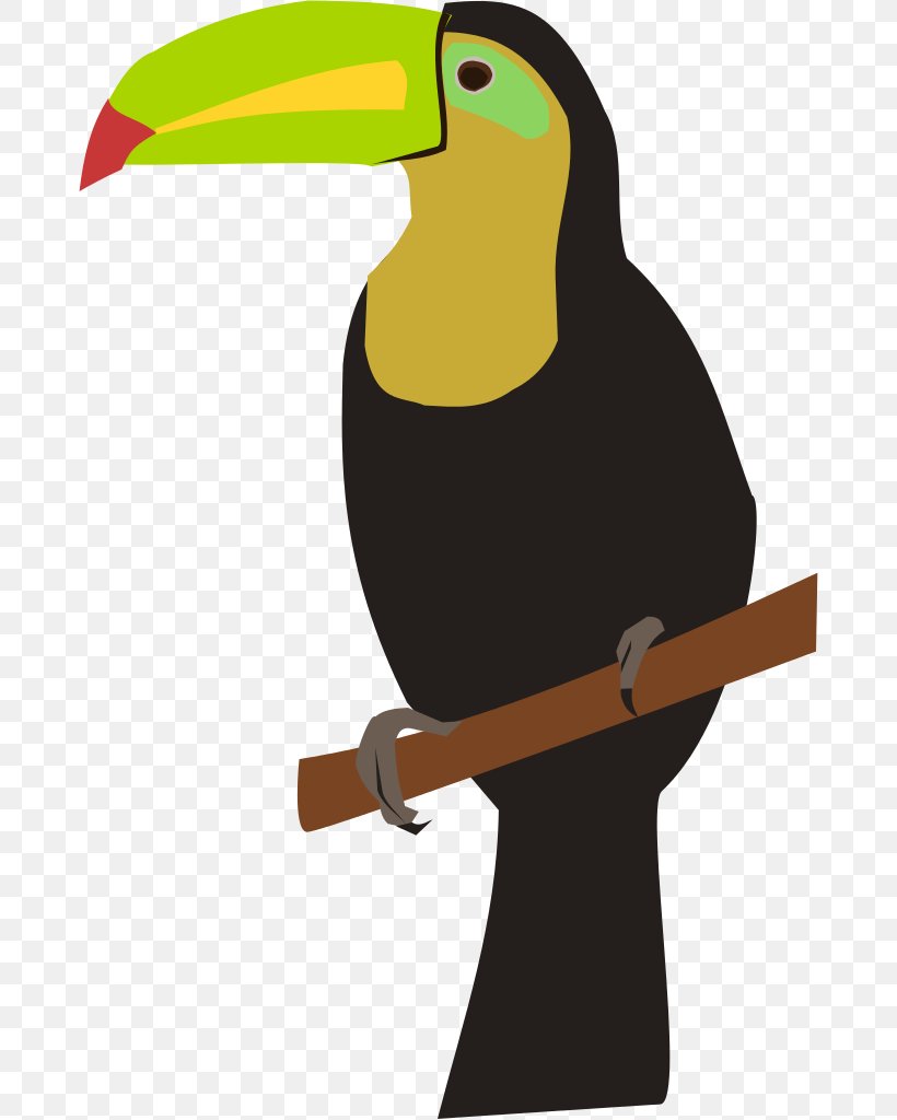 Toucan Clip Art, PNG, 676x1024px, Toucan, Animation, Beak, Bird, Document Download Free