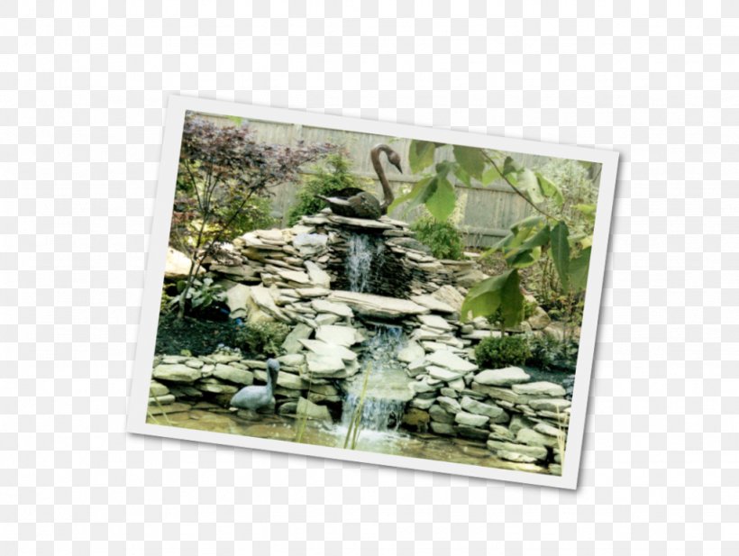 Brookside Gardens Water Garden Garden Design Landscaping, PNG, 1024x771px, Brookside Gardens, Fish Pond, Garden, Garden Design, Garden Pond Download Free