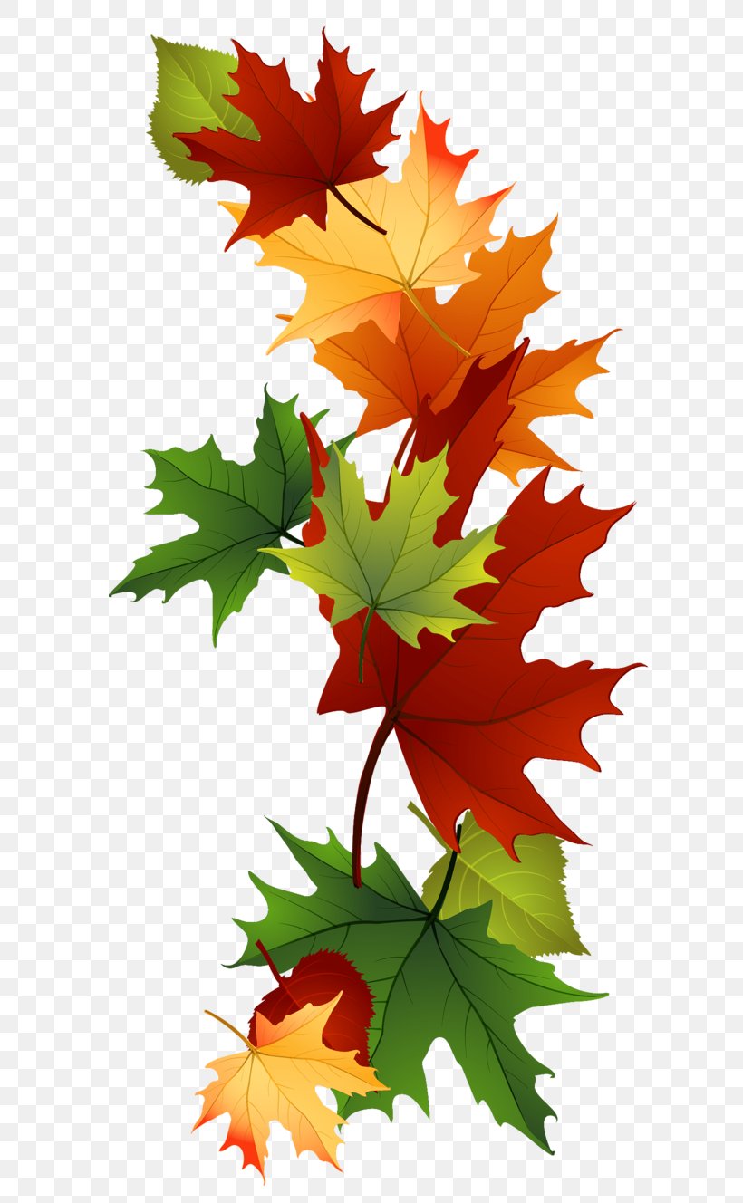 Clip Art Seasonal Clip-art Image Illustration Autumn Leaf Color, PNG, 672x1328px, Seasonal Clipart, Art, Autumn, Autumn Leaf Color, Black Maple Download Free