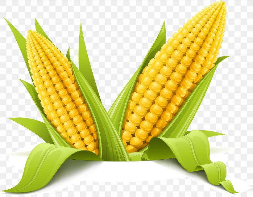 Corn On The Cob Maize Corncob Clip Art, PNG, 3840x2989px, Corn On The Cob, Art, Commodity, Corn Kernels, Corn Oil Download Free