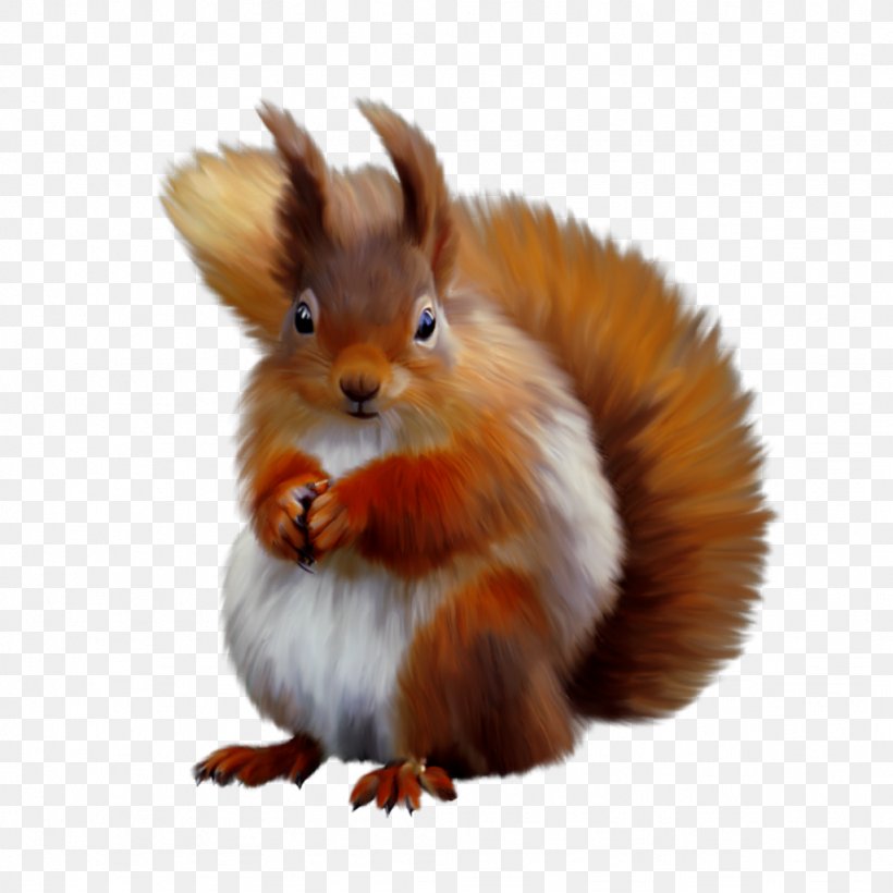 Squirrel Clip Art Image JPEG, PNG, 1024x1024px, 2018, Squirrel, Animal, Autumn, Domestic Rabbit Download Free