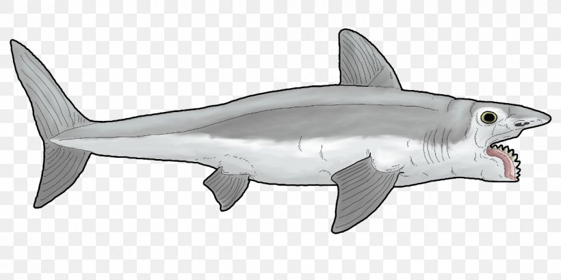 Tiger Shark Helicoprion Jurassic Park Builder YouTube, PNG, 1200x600px, Tiger Shark, Animal, Animal Figure, Cartilaginous Fish, Drawing Download Free