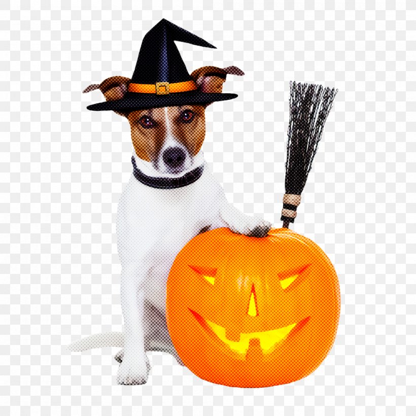 Dog Trick-or-treat Hat Costume, PNG, 2000x2000px, Dog, Costume, Hat, Trickortreat Download Free
