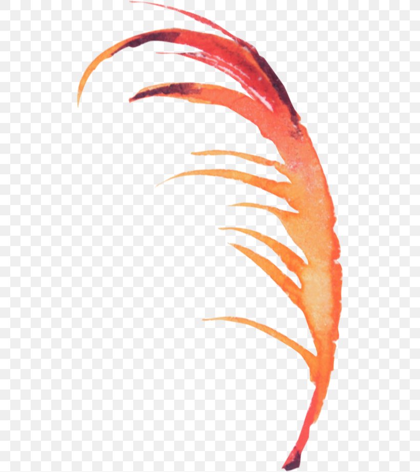 Feather Bird, PNG, 522x921px, Feather, Beak, Bird, Close Up, Copyright Download Free