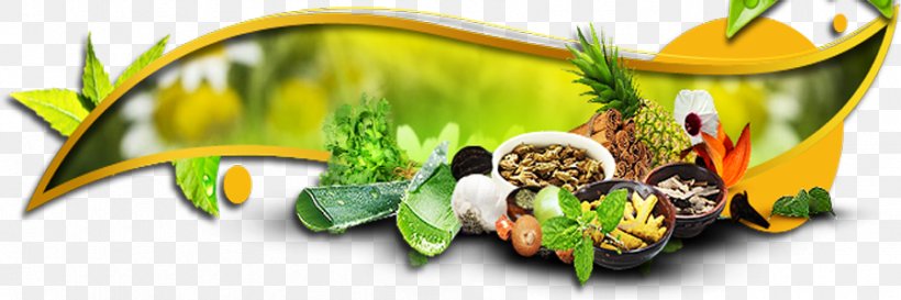 India Ayurveda Medicine Health Pharmaceutical Drug, PNG, 898x300px, India, Ayurveda, Detoxification, Flora, Flower Download Free