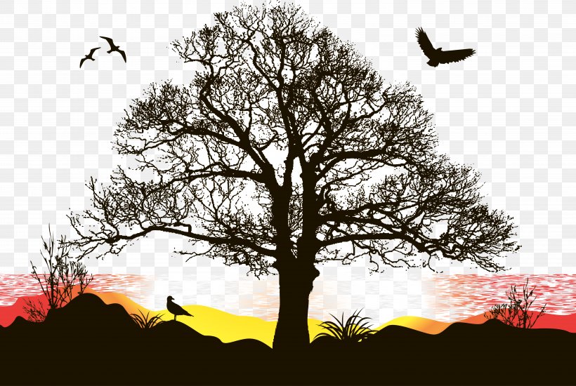 Sunset Sunset Vector, PNG, 5833x3914px, Tree, Baobab, Branch, Drawing, Graphic Arts Download Free