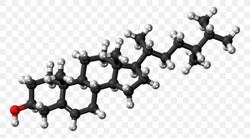 Cholesterol Steroid Pharmaceutical Drug Atorvastatin Dehydroepiandrosterone, PNG, 800x453px, Cholesterol, Atorvastatin, Black And White, Body Jewelry, Dehydroepiandrosterone Download Free