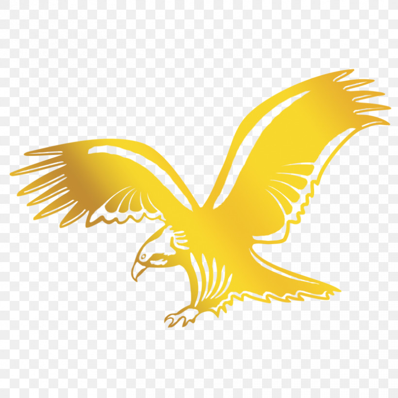 Eagle Wing Yellow Golden Eagle Bird, PNG, 830x830px, Eagle, Accipitridae, Bird, Bird Of Prey, Falconiformes Download Free